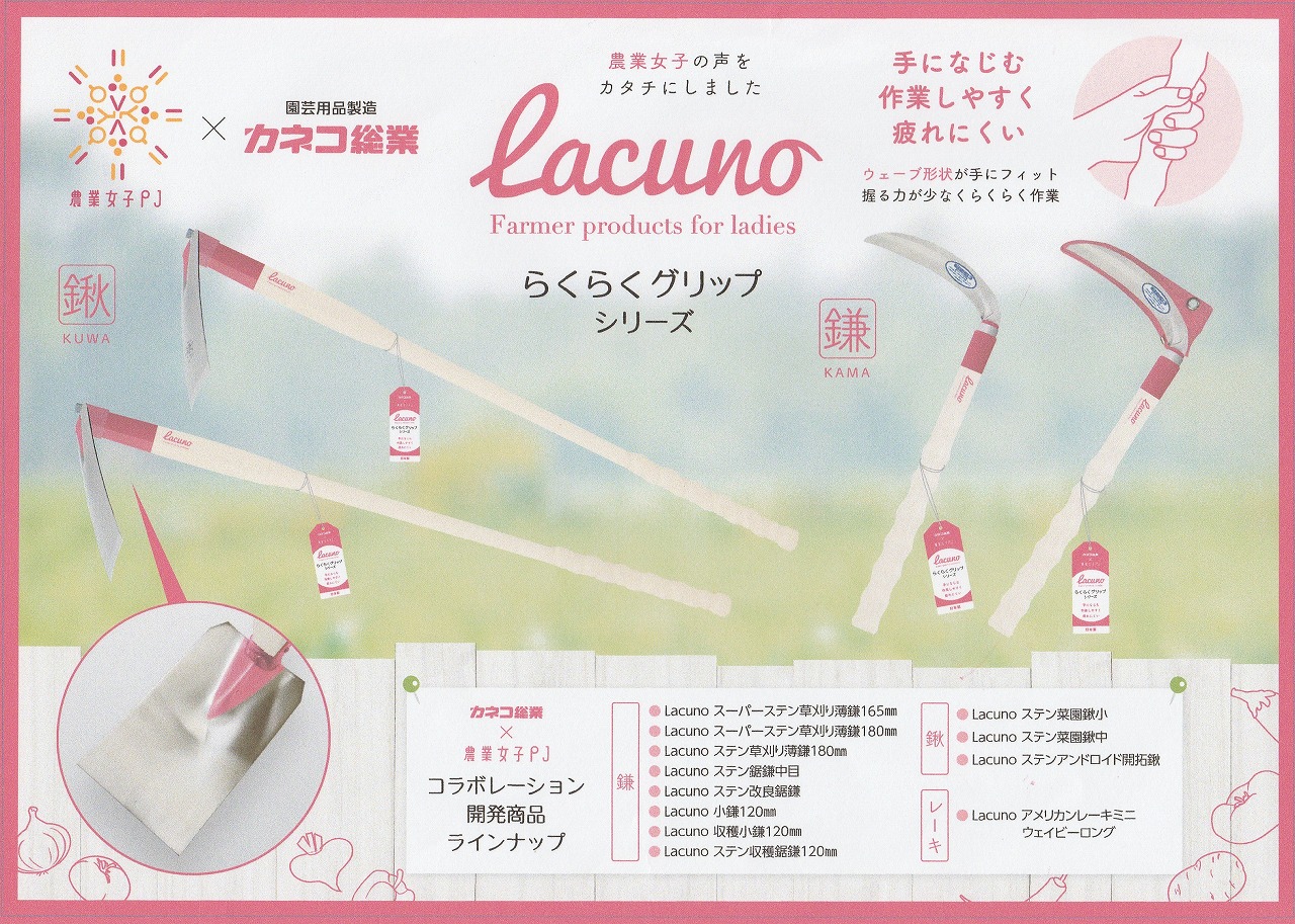 Lacuno